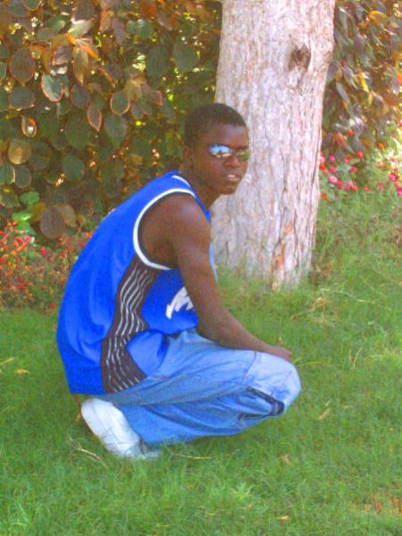 maxwell